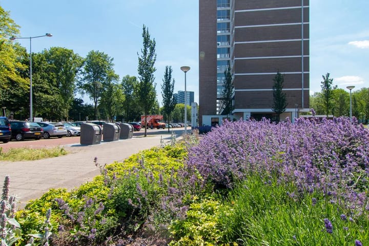 Foto 39 van Burgemeester Hogguerstraat 327