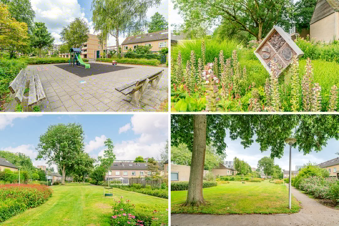 Foto 28 van Matterhorn 44