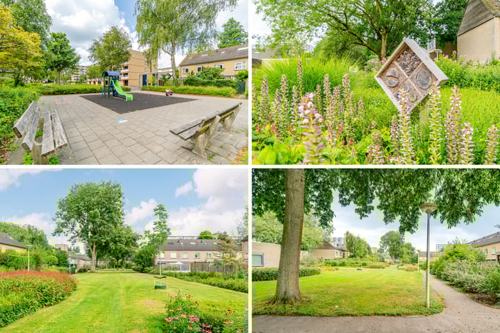 Foto 28 van Matterhorn 44