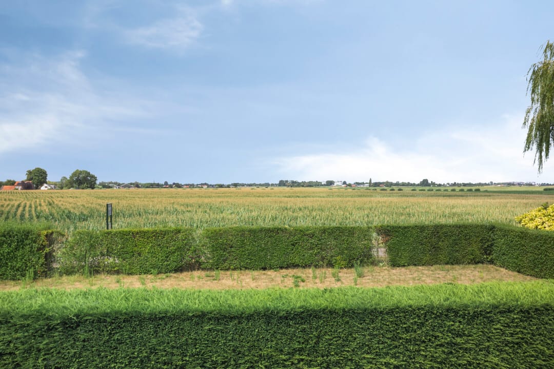 Foto 16 van Bergeendstraat 6