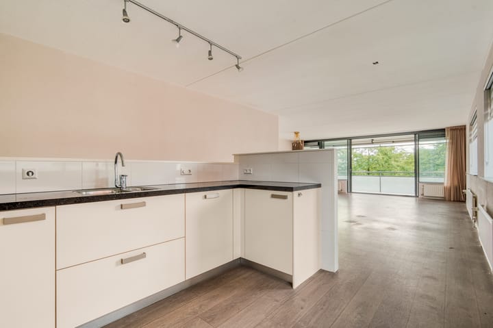 Foto 12 van Laan van Deshima 81