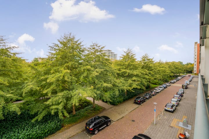 Foto 28 van Laan van Deshima 81