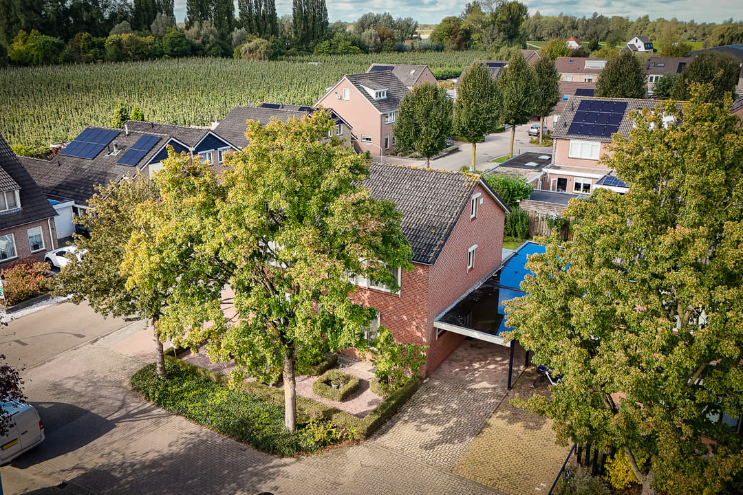 Foto 38 van Robbekampen 3