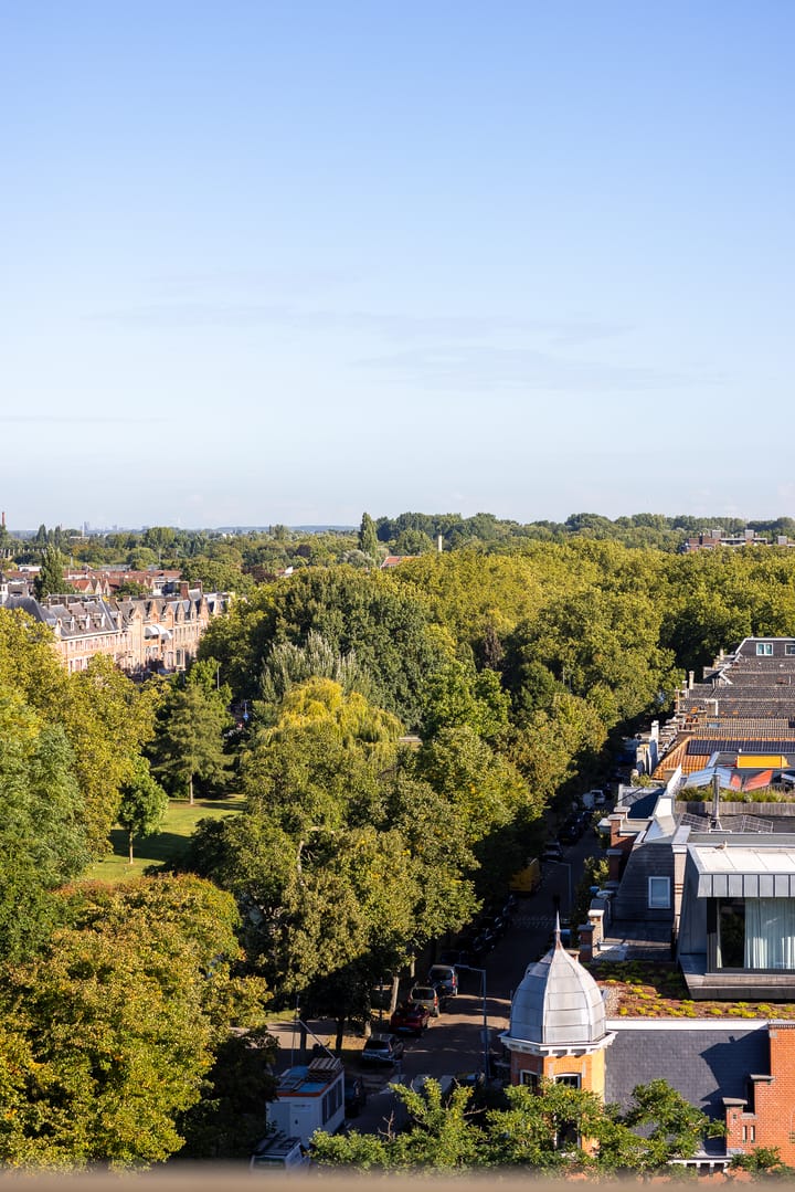 Foto 30 van Mathenesserlaan 325-C