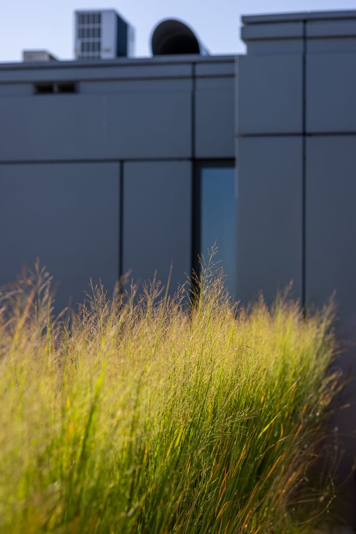 Foto 34 van Mathenesserlaan 325-C