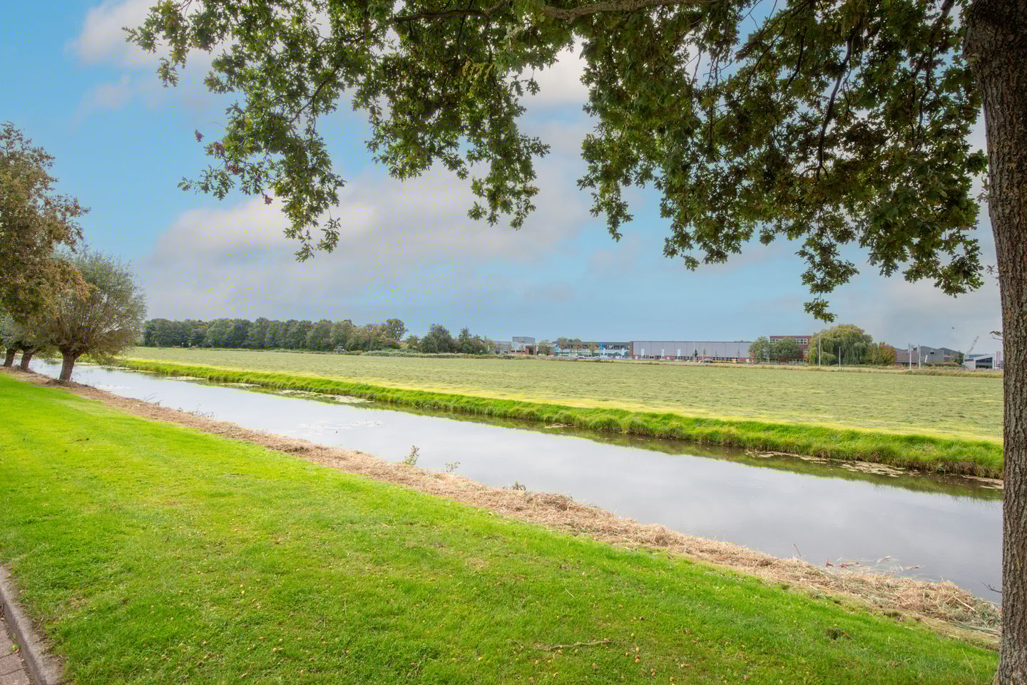 Foto 59 van Lepelaar 4