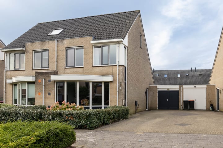 Foto 5 van Lijster 30