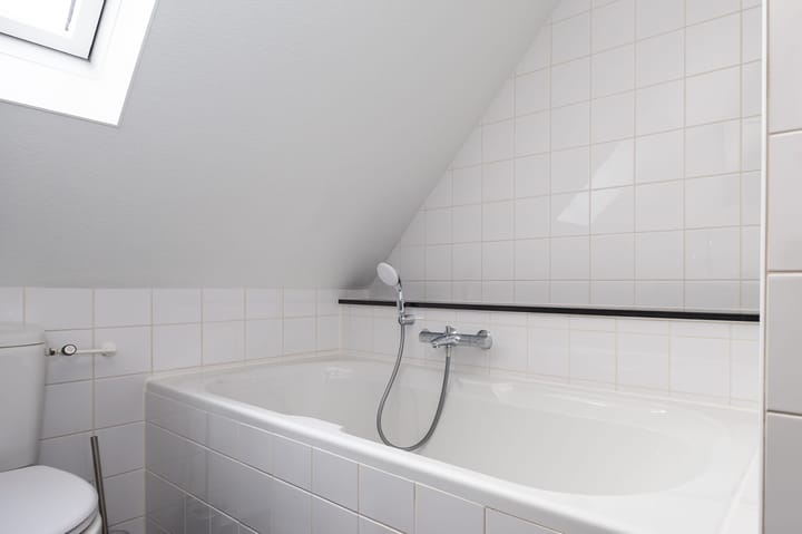 Foto 22 van Lijster 30