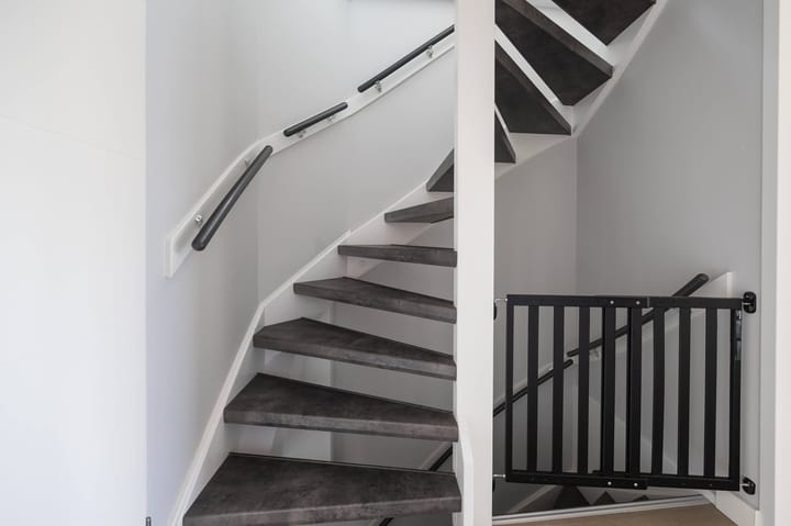 Foto 30 van Lijster 30