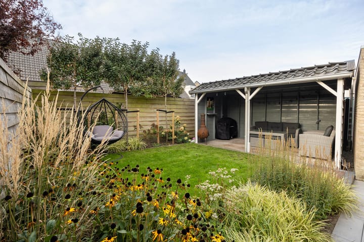 Foto 38 van Lijster 30