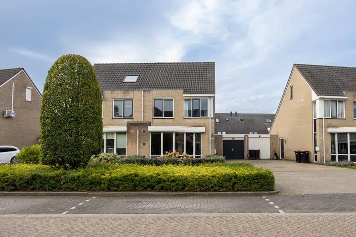 Foto 42 van Lijster 30