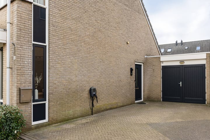 Foto 43 van Lijster 30