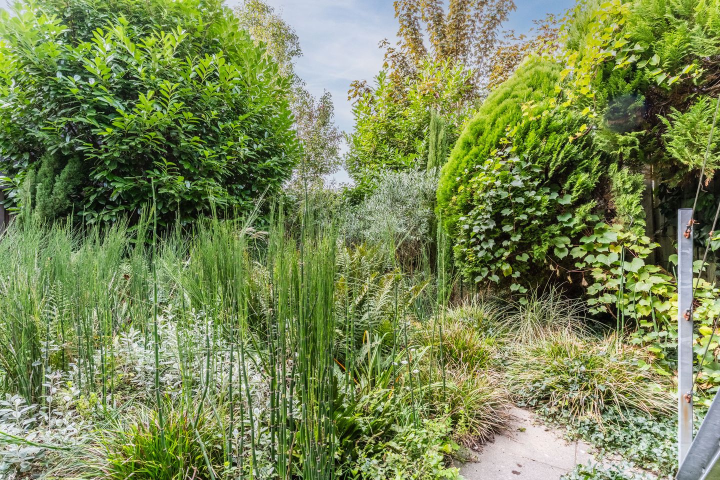 Foto 25 van Eindhovenseweg 119