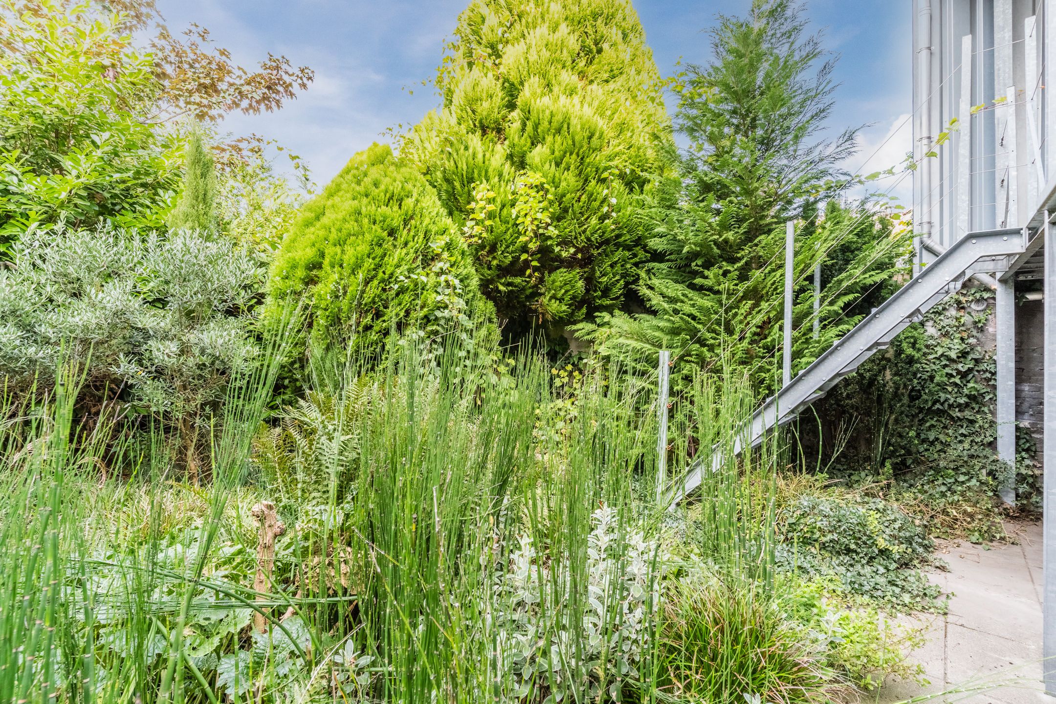 Foto 24 van Eindhovenseweg 119