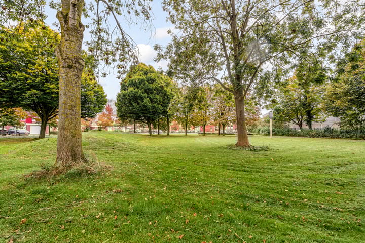 Photo 16 of Olstgracht 10