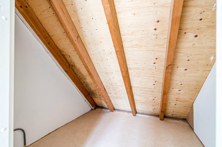 Photo 33 of Olstgracht 10