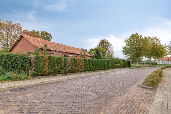 Photo 3 of De Stad 15