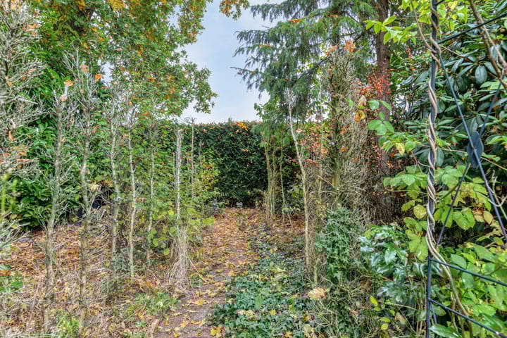 Photo 13 of De Stad 15