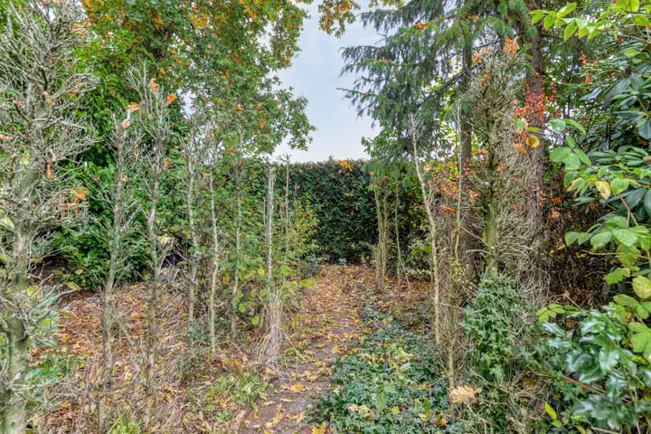 Photo 14 of De Stad 15