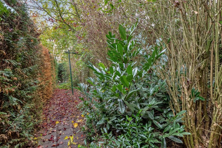 Photo 16 of De Stad 15