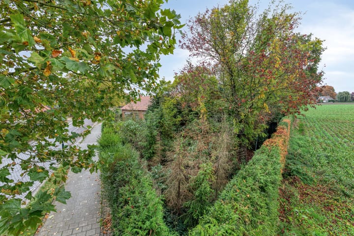 Photo 21 of De Stad 15