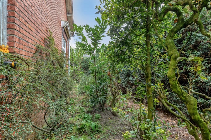 Photo 17 of De Stad 15