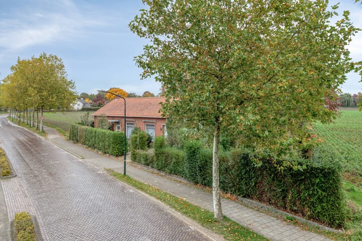 Photo 7 of De Stad 15