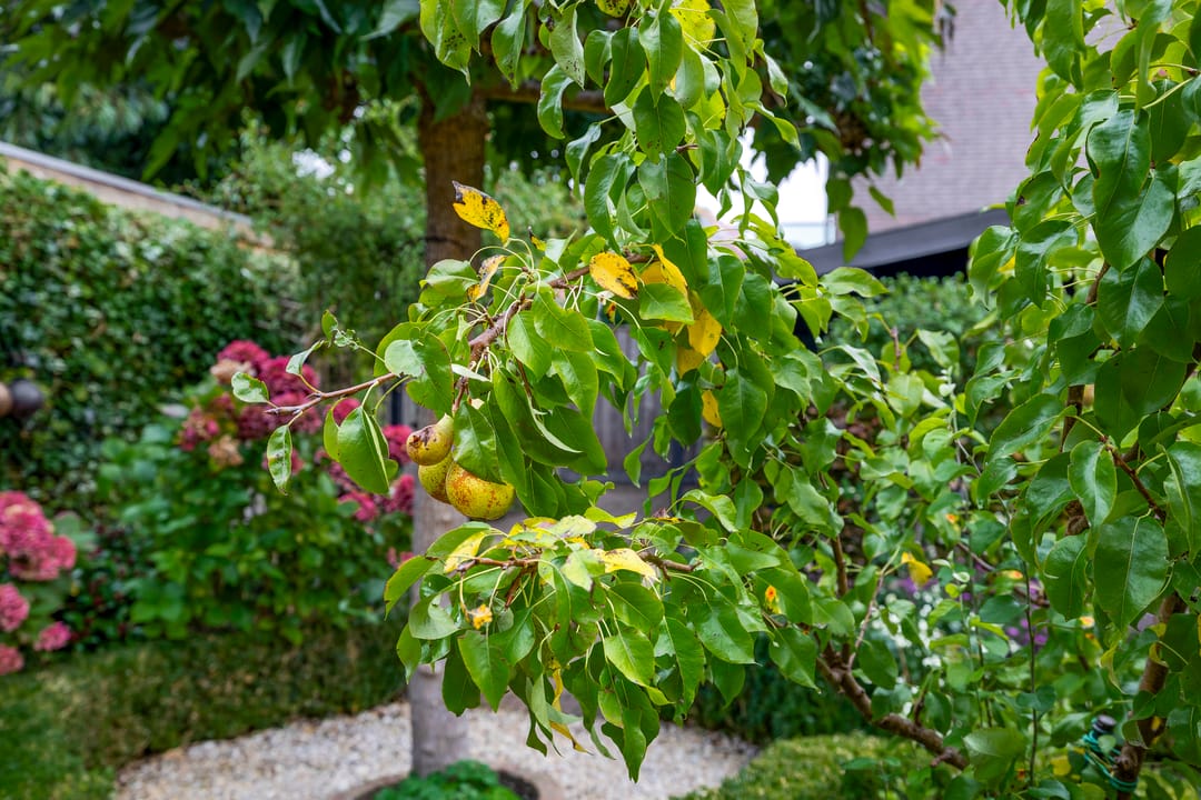 Foto 22 van Elsbroekerlaan 13