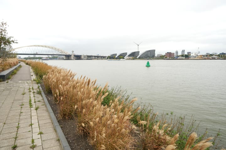 Foto 38 van Hornetstraat 46