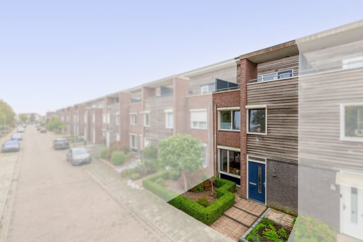 Foto 1 van Lisdodde 38