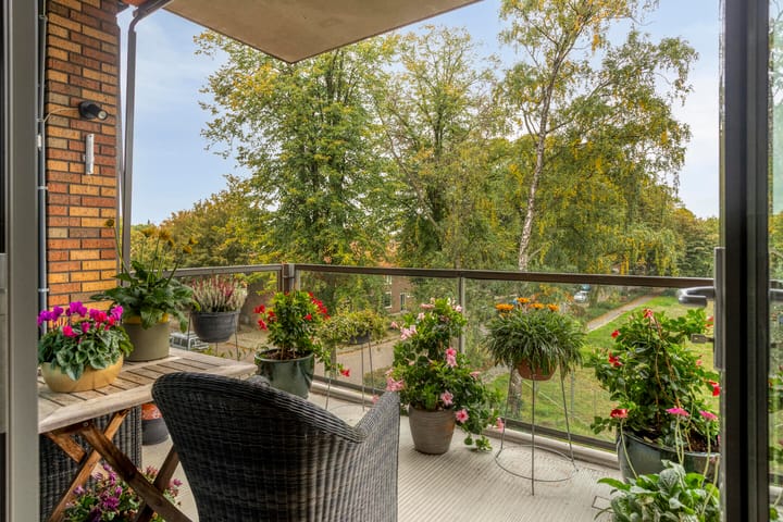 Foto 3 van Meiboomstraat 28