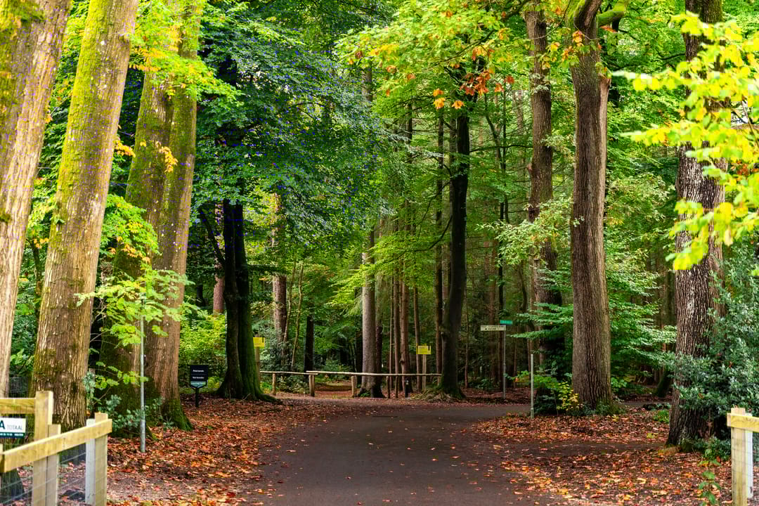 Photo 37 of Badhuislaan 4