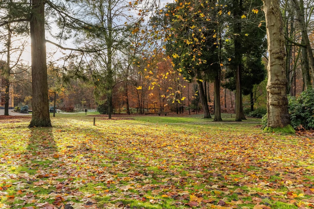 Photo 41 of Badhuislaan 4