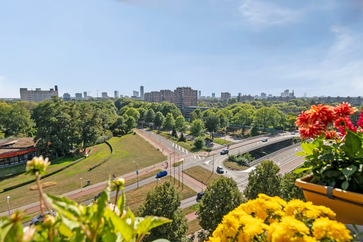 Foto 5 van Penelopestraat 279