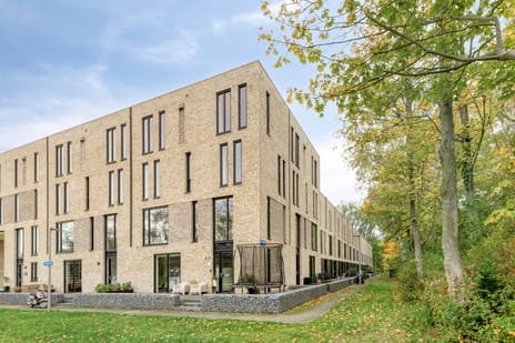 Tulastraat thumbnail