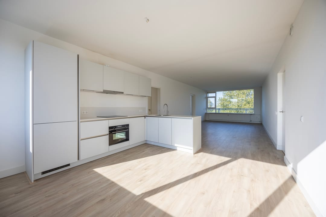 Foto 1 van Laan van Parijs 198