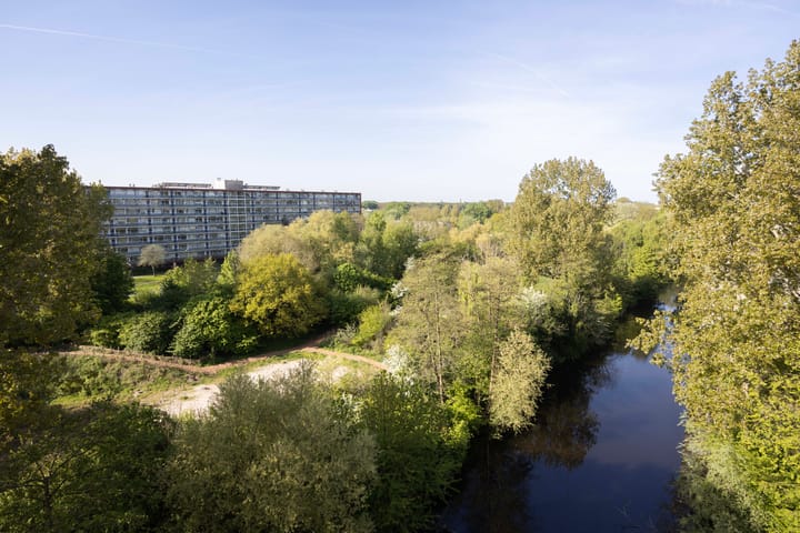 Foto 10 van Laan van Parijs 198