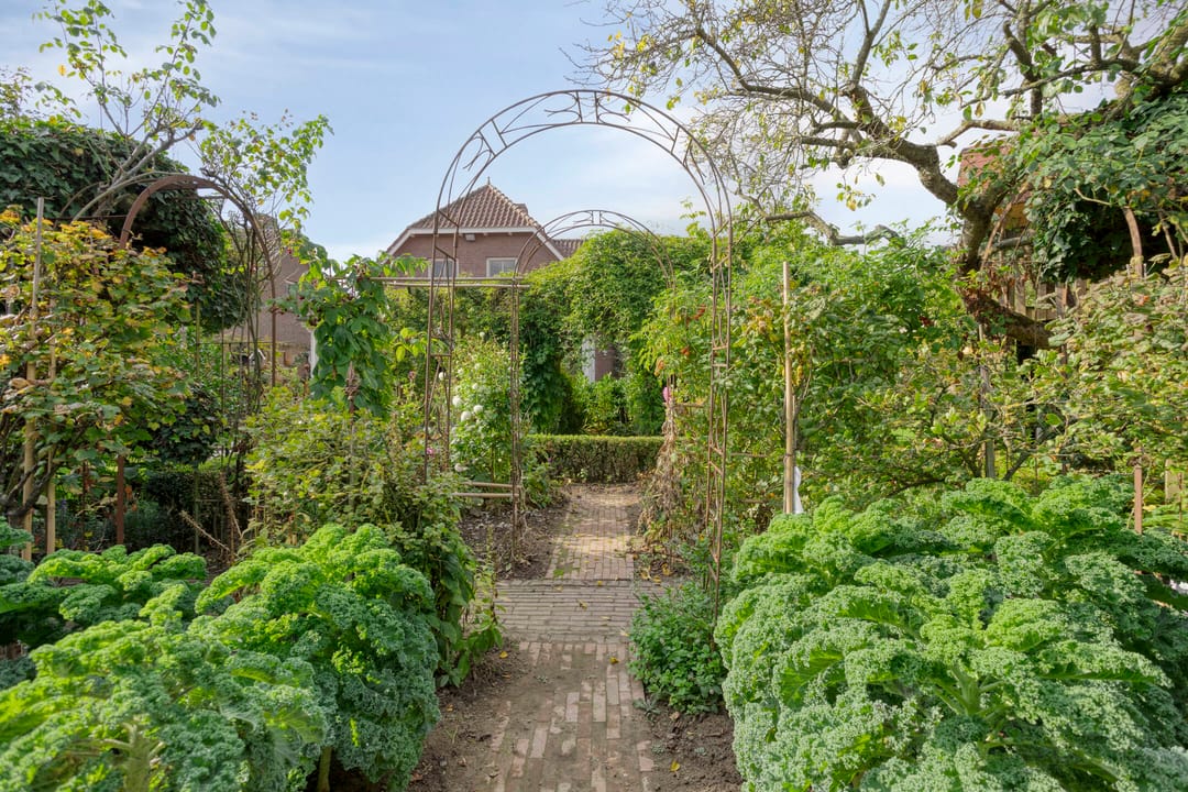 Foto 68 van Sleestraat 20