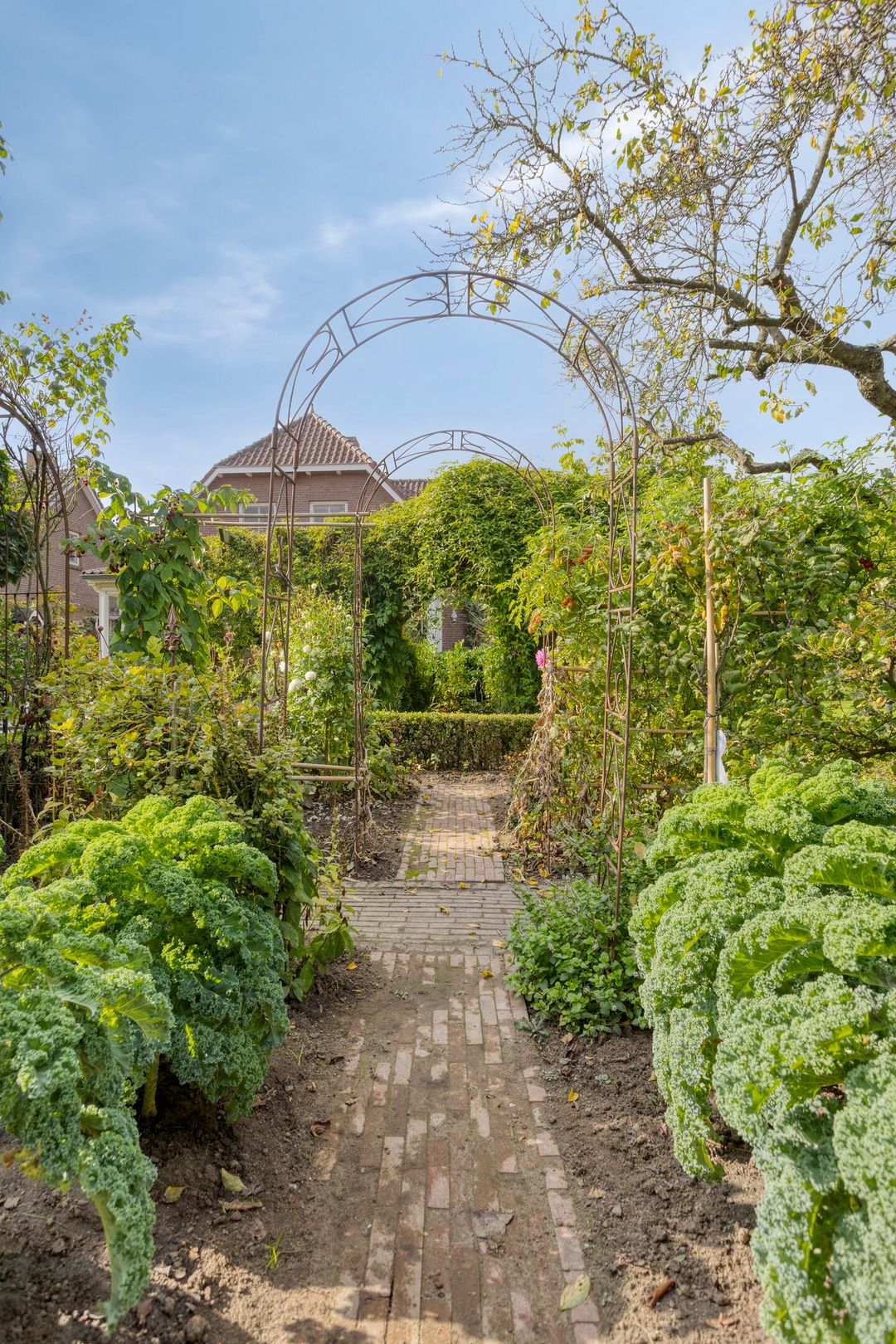 Foto 67 van Sleestraat 20