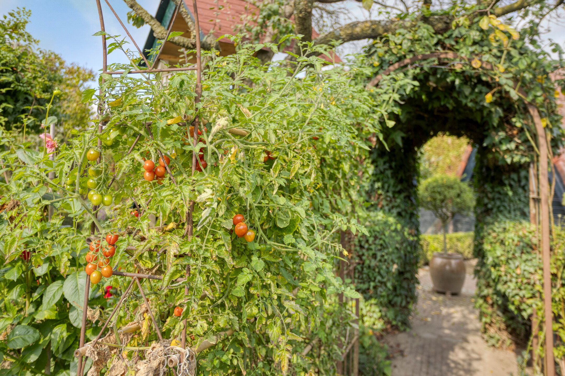 Foto 72 van Sleestraat 20