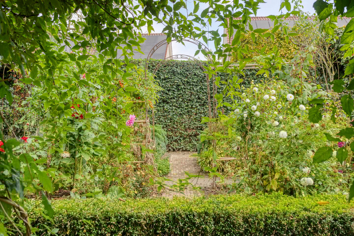 Foto 74 van Sleestraat 20