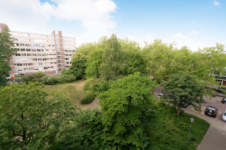 Foto 17 van Laan van Parijs 132