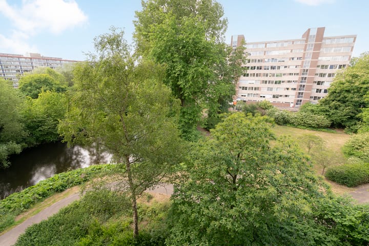 Foto 18 van Laan van Parijs 132