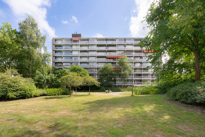 Foto 34 van Laan van Parijs 132