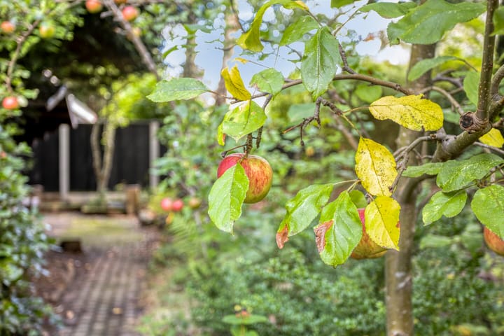 Foto 34 van Minister Loudonlaan 82