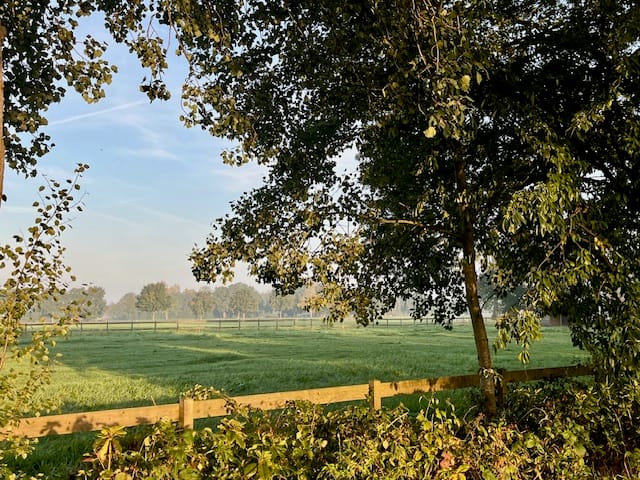 Foto 57 van Hessenweg 120