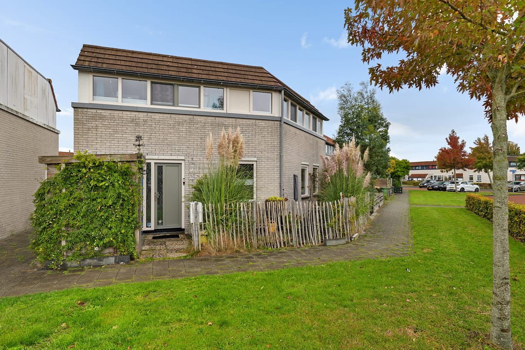 Foto 1 van Galjoen 25 10