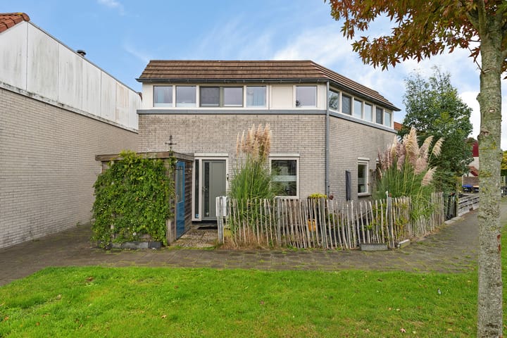 Foto 5 van Galjoen 25 10