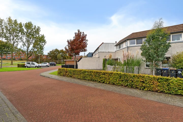 Foto 40 van Galjoen 25 10