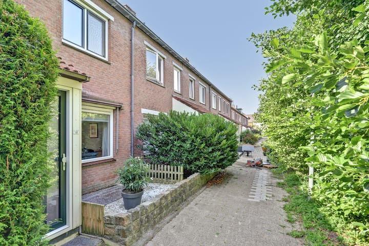 Foto 5 van Hoefblad 139